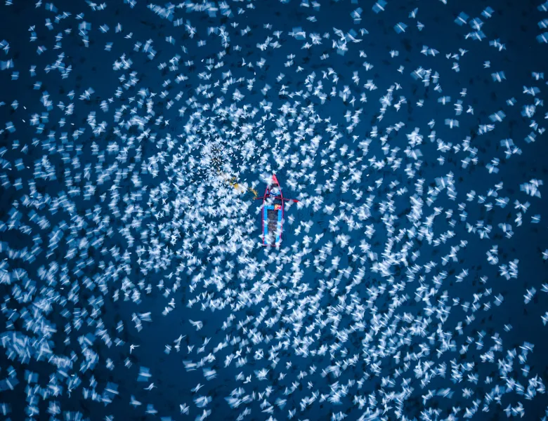 © Arun Kumar Nalimela, India, entry, Open Competition, Travel, 2026 Sony World Photography Awards