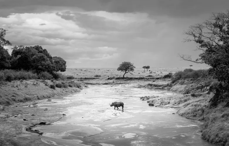 © Fiona Stappmanns, Germany, Commended, Open Competition, Natural World & Wildlife, 2026 Sony World Photography Awards