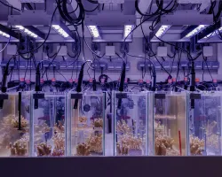 Measuring Climate Change