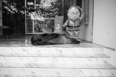 Where the Beach Ends