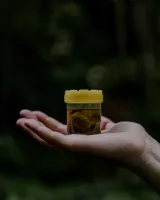 European Bison DNA Sample