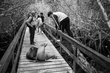 Where the Beach Ends