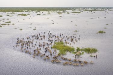 South Sudan's Forgotten Wilderness