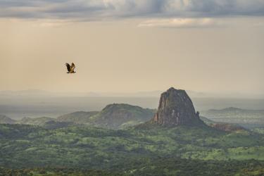 South Sudan's Forgotten Wilderness