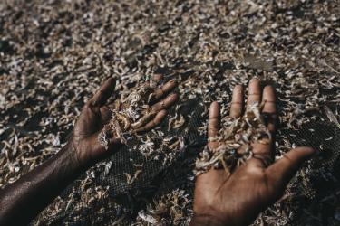 The River on the Brink of Collapse