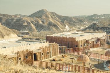 Pretend to Be an Animal