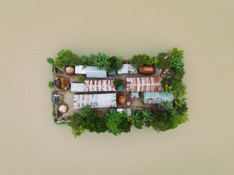 Isolated Island Homestead