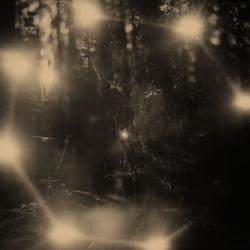 Älvdans (Elf Dance)