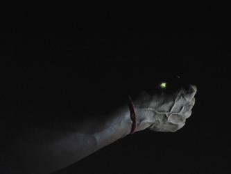 Notes on How to Build a Forest