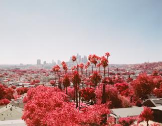 To Live And Die In L.A.