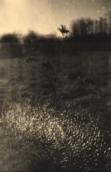 Tre Minnen (Three Memories)